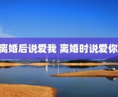 离婚后说爱我 离婚时说爱你 