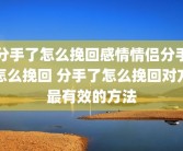 分手了怎么挽回感情情侣分手怎么挽回 分手了怎么挽回对方最有效的方法