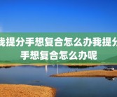 我提分手想复合怎么办我提分手想复合怎么办呢