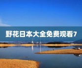 野花日本大全免费观看7