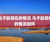 马子跃现在的情况 马子跃现在的情况如何 