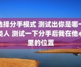 选择分手模式 测试出你是哪一类人 测试一下分手后我在他心里的位置