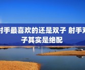射手最喜欢的还是双子 射手双子其实是绝配 