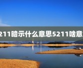 5211暗示什么意思5211啥意思