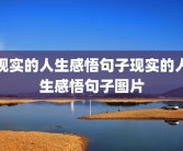 现实的人生感悟句子现实的人生感悟句子图片