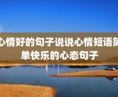 心情好的句子说说心情短语简单快乐的心态句子