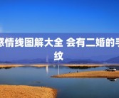 感情线图解大全 会有二婚的手纹 