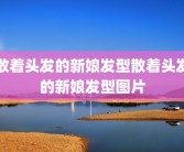 散着头发的新娘发型散着头发的新娘发型图片