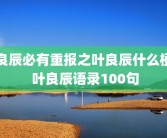 良辰必有重报之叶良辰什么梗 叶良辰语录100句