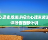 心理素质测评报告心理素质测评报告西部计划