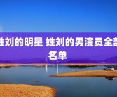 姓刘的明星 姓刘的男演员全部名单 