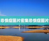 恐惧症图片密集恐惧症图片