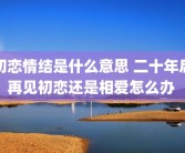 初恋情结是什么意思 二十年后再见初恋还是相爱怎么办 