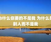为什么你要的不是我 为什么是别人而不是我