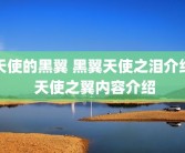 天使的黑翼 黑翼天使之泪介绍 天使之翼内容介绍