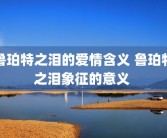 鲁珀特之泪的爱情含义 鲁珀特之泪象征的意义 