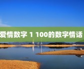爱情数字 1 100的数字情话 