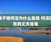 赫子铭何洁为什么离婚 何洁现在的丈夫是谁
