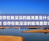 你存在我深深的脑海里是什么歌 你存在我深深的脑海里歌词