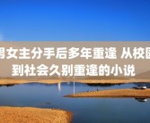 男女主分手后多年重逢 从校园到社会久别重逢的小说 