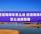 给领导拜年怎么说 给领导拜年怎么说高情商 