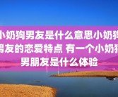 小奶狗男友是什么意思小奶狗男友的恋爱特点 有一个小奶狗男朋友是什么体验