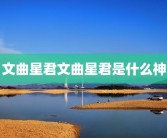 文曲星君文曲星君是什么神