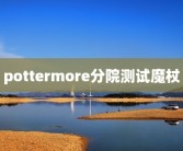 pottermore分院测试魔杖