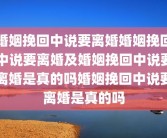 婚姻挽回中说要离婚婚姻挽回中说要离婚及婚姻挽回中说要离婚是真的吗婚姻挽回中说要离婚是真的吗
