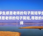 学生感恩老师的句子简短学生感恩老师的句子简短,尊敬的老师