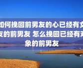 如何挽回前男友的心已经有女友的前男友 怎么挽回已经有对象的前男友