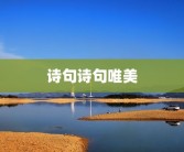 诗句诗句唯美