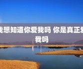 我想知道你爱我吗 你是真正爱我吗