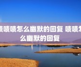 啧啧啧怎么幽默的回复 啧啧怎么幽默的回复 