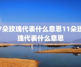 7朵玫瑰代表什么意思11朵玫瑰代表什么意思