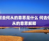 何去何从的意思是什么 何去何从的意思解释 