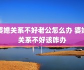 婆媳关系不好老公怎么办 婆媳关系不好该咋办
