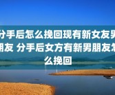 分手后怎么挽回现有新女友男朋友 分手后女方有新男朋友怎么挽回