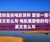 爱的是你电影赏析 爱你一辈子英文怎么写 电影里爱情的句子英文怎么写