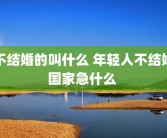 不结婚的叫什么 年轻人不结婚国家急什么 