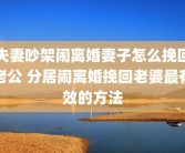 夫妻吵架闹离婚妻子怎么挽回老公 分居闹离婚挽回老婆最有效的方法