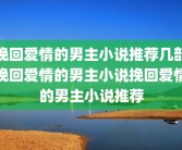 挽回爱情的男主小说推荐几部挽回爱情的男主小说挽回爱情的男主小说推荐