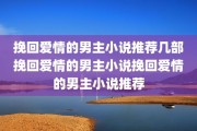 挽回爱情的男主小说推荐几部挽回爱情的男主小说挽回爱情的男主小说推荐