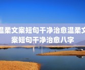 温柔文案短句干净治愈温柔文案短句干净治愈八字