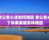 老公变心该如何挽回 老公变心了非要离婚怎样挽回