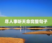 尽人事听天命完整句子