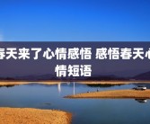 春天来了心情感悟 感悟春天心情短语 