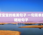 爱宝宝的唯美句子 一句简单的晒娃句子 