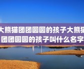 大熊猫团团圆圆的孩子大熊猫团团圆圆的孩子叫什么名字