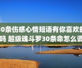 30条伤感心情短语有你喜欢的吗 超级魂斗罗30条命怎么调